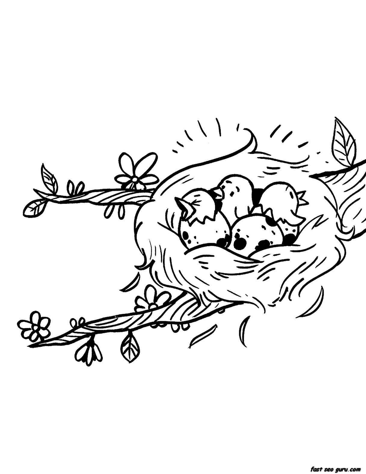 Printable Birds  Eggs Hatching Nest Seasons Spring coloring pages